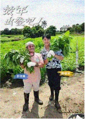 青柠影视美食访谈综艺厨房里的哲学海报